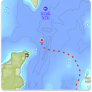 fish_track_preview.png