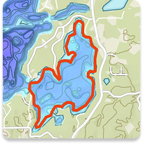 fish_shape_preview.png